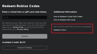 Promotional codes are similar to Roblox codes. (Image via Roblox)